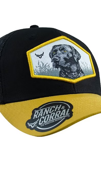 Casquette brodée labrador Ranch & Corral